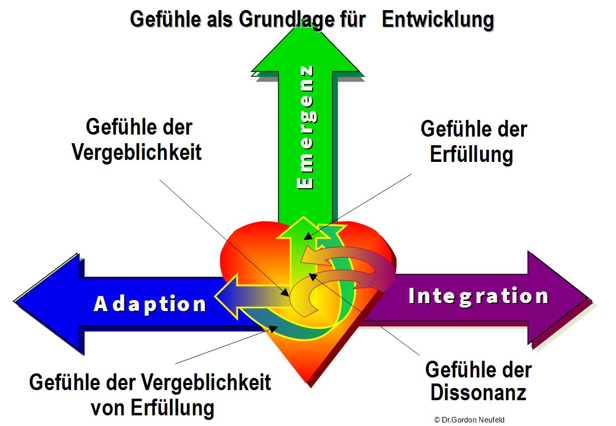 gefuehle-als-grundlage-der-entwicklung