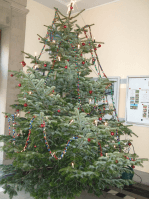 baum16